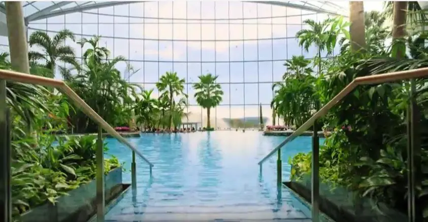 Therme Bucharest indoor palm trees and thermal pools