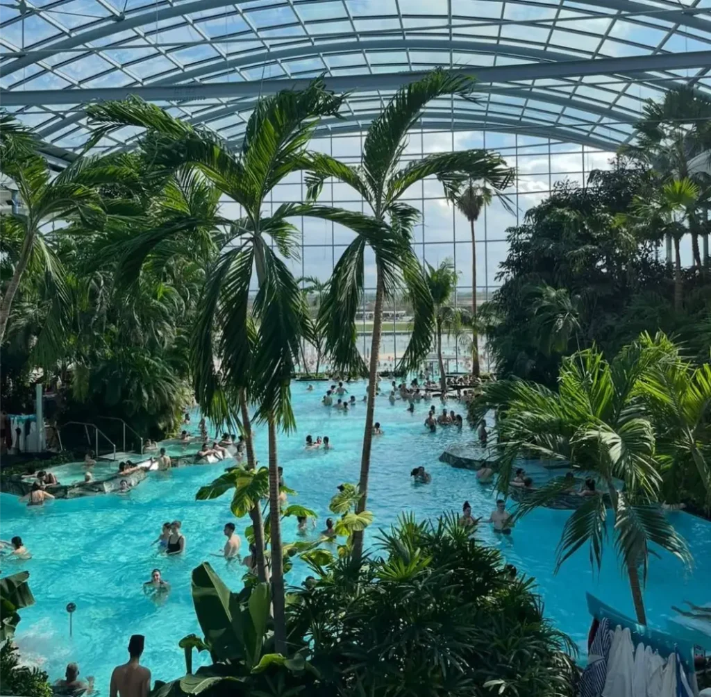 Therme Bucharest indoor palm trees and thermal pools