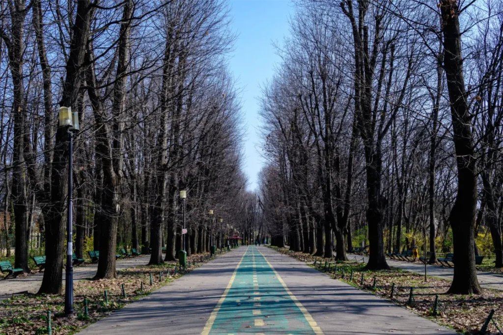 Cycling path in Herastrau Park Bucharest